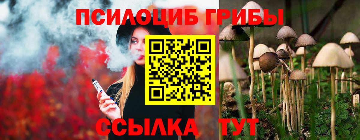 Псилоцибиновые грибы Psilocybine cubensis  Галлюциногенные грибы Psilocybine cubensis  Вход с VPN  Зима 