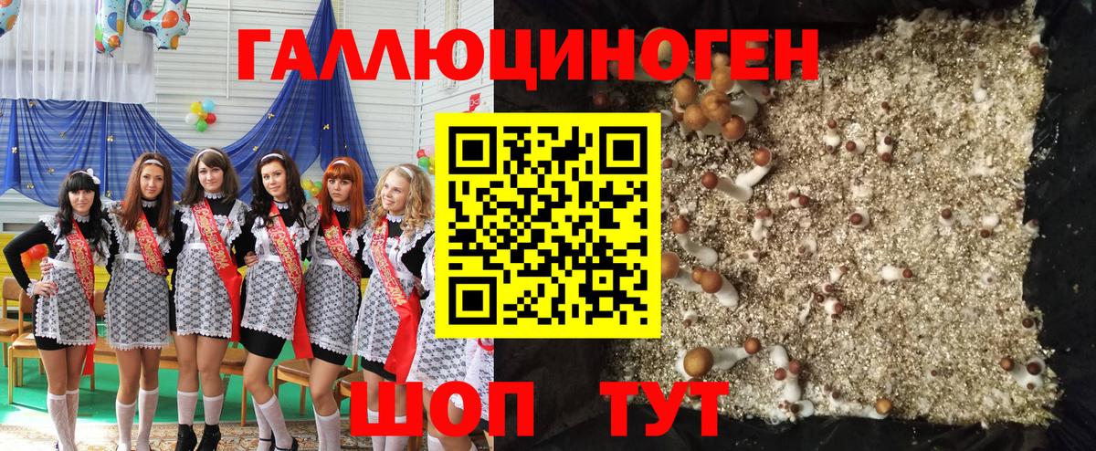 Галлюциногенные грибы Magic Shrooms Зима